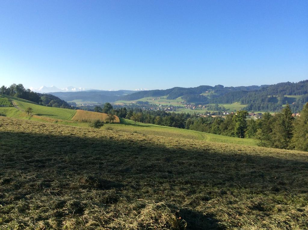 Landcafe Mit Mini Hotel Burgdorf Eksteriør bilde